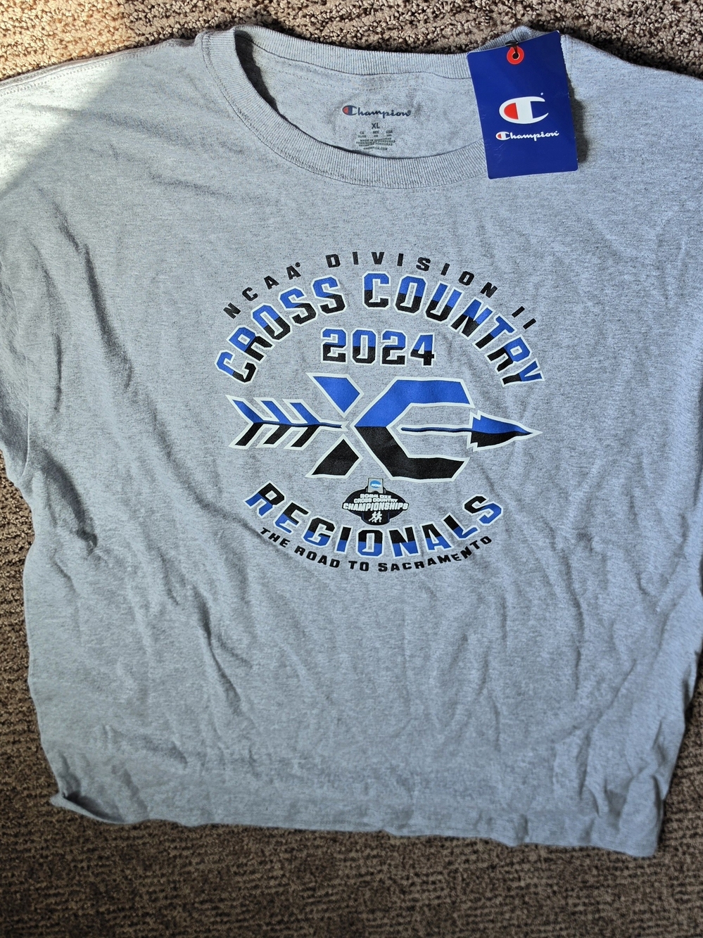 Champion Men’s Gray 2024 Cross Country Regionals Graphic Tee